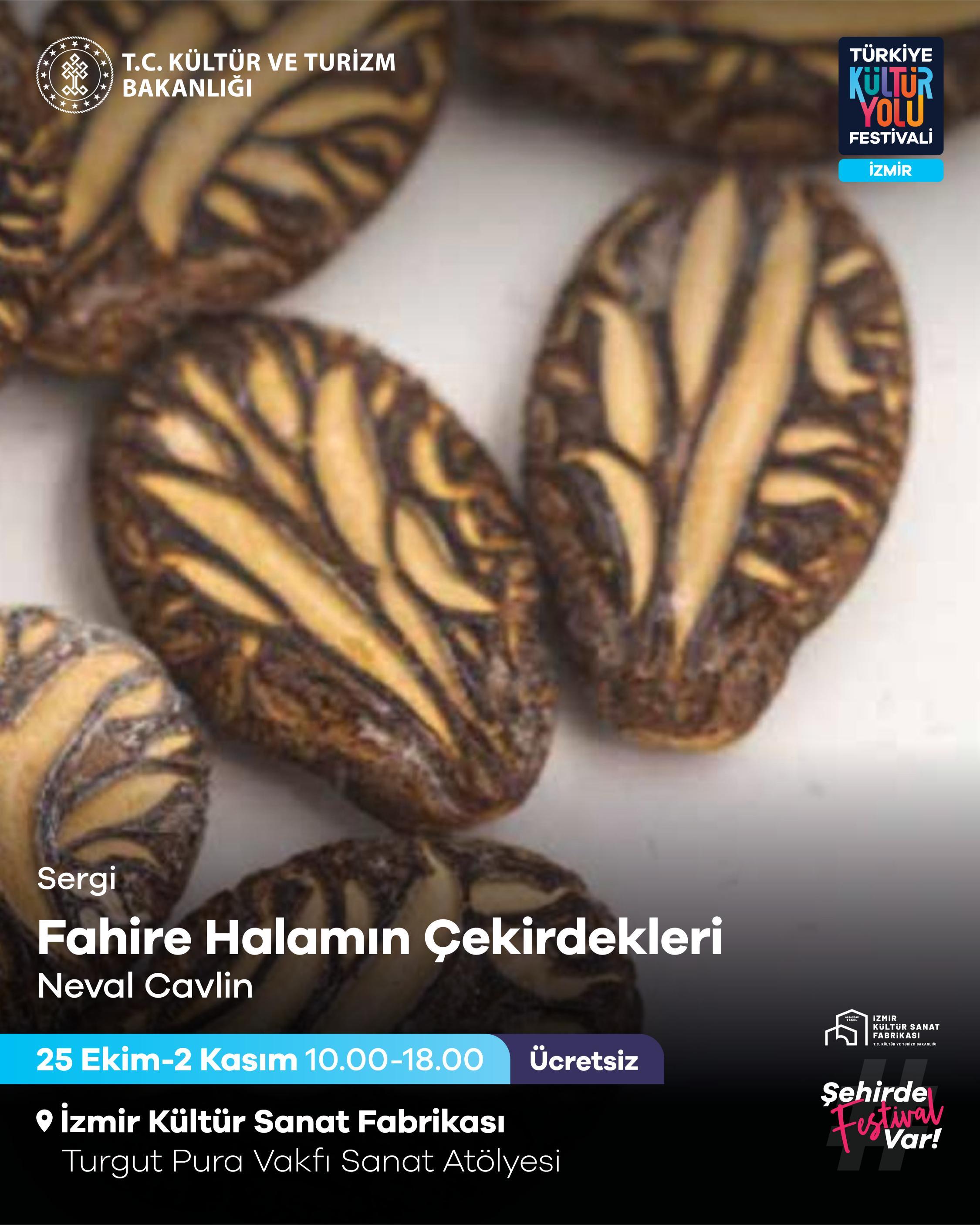 Fahire Halamın Çekirdekleri